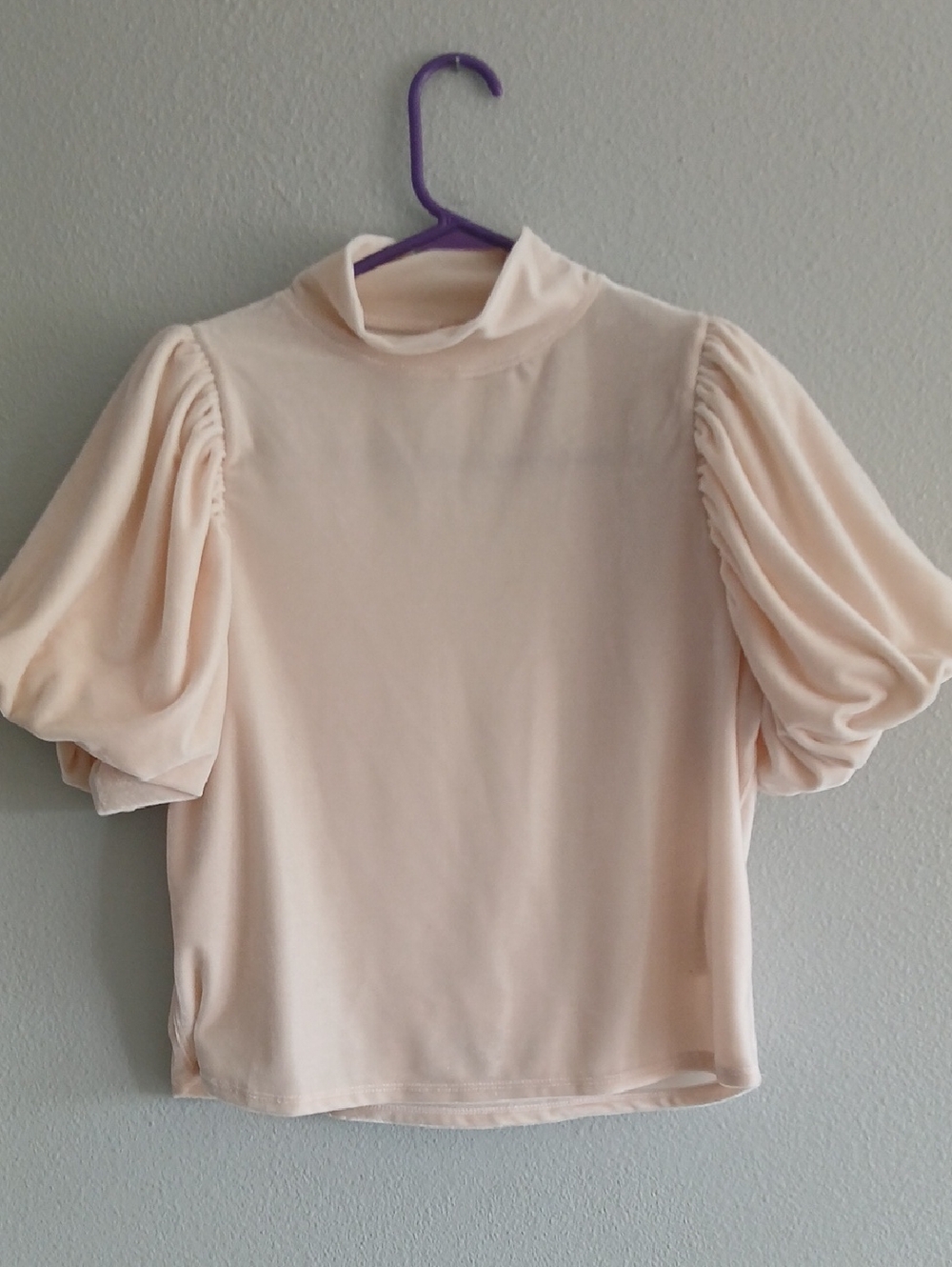Free People Claudia Xs Puff Sleeve High Neck Top Light Pink Velvet